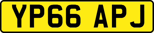 YP66APJ