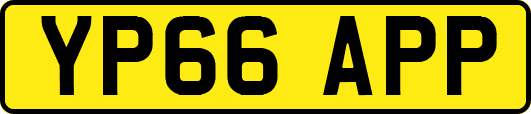 YP66APP