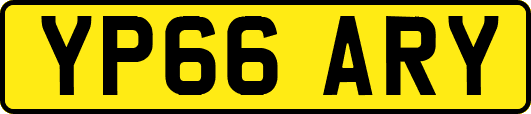 YP66ARY