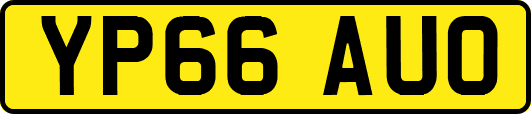 YP66AUO