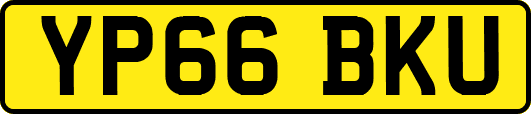 YP66BKU