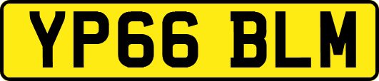 YP66BLM
