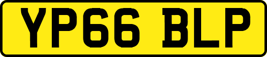 YP66BLP
