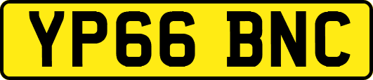 YP66BNC