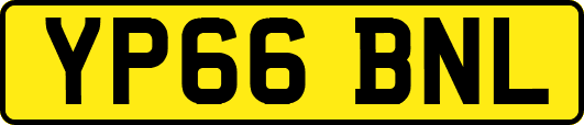 YP66BNL