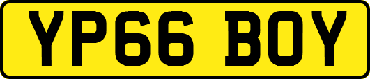 YP66BOY