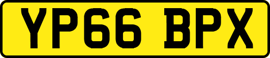 YP66BPX