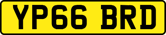 YP66BRD