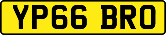 YP66BRO