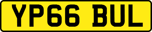 YP66BUL