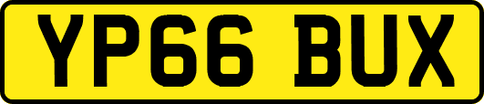YP66BUX