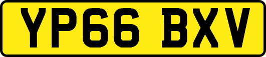 YP66BXV