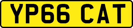 YP66CAT