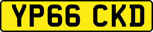 YP66CKD