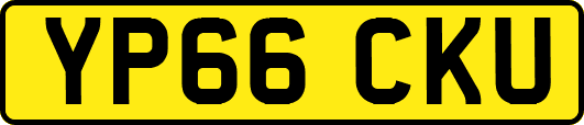 YP66CKU