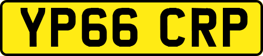 YP66CRP