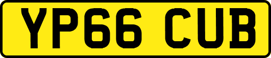 YP66CUB