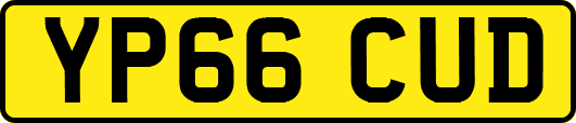 YP66CUD