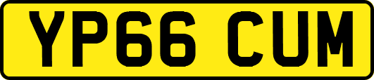 YP66CUM
