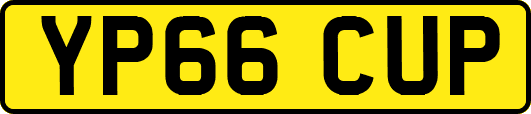 YP66CUP