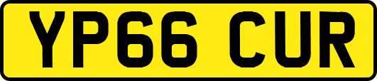 YP66CUR
