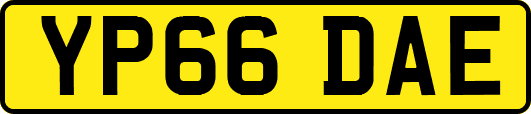 YP66DAE