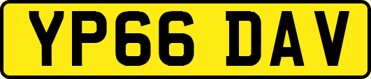 YP66DAV