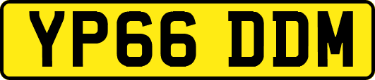 YP66DDM