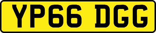 YP66DGG
