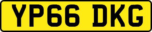 YP66DKG