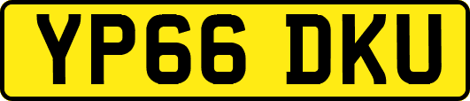 YP66DKU
