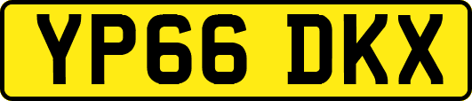 YP66DKX