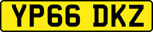 YP66DKZ