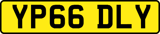 YP66DLY