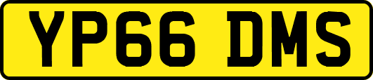 YP66DMS