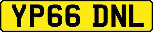 YP66DNL