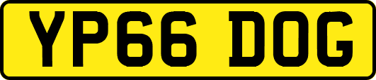 YP66DOG