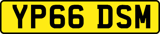 YP66DSM
