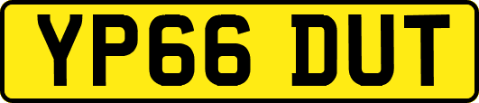 YP66DUT