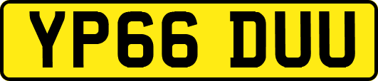 YP66DUU