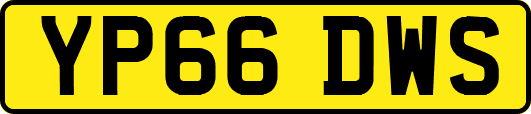 YP66DWS