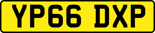 YP66DXP