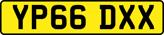 YP66DXX