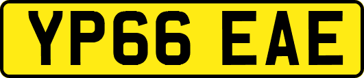 YP66EAE