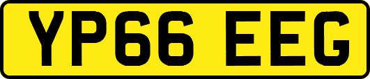 YP66EEG