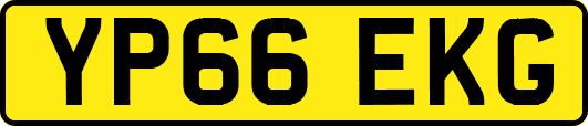 YP66EKG