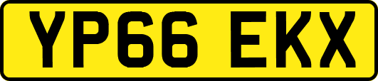 YP66EKX