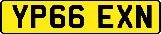 YP66EXN