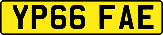 YP66FAE