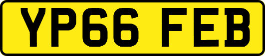 YP66FEB